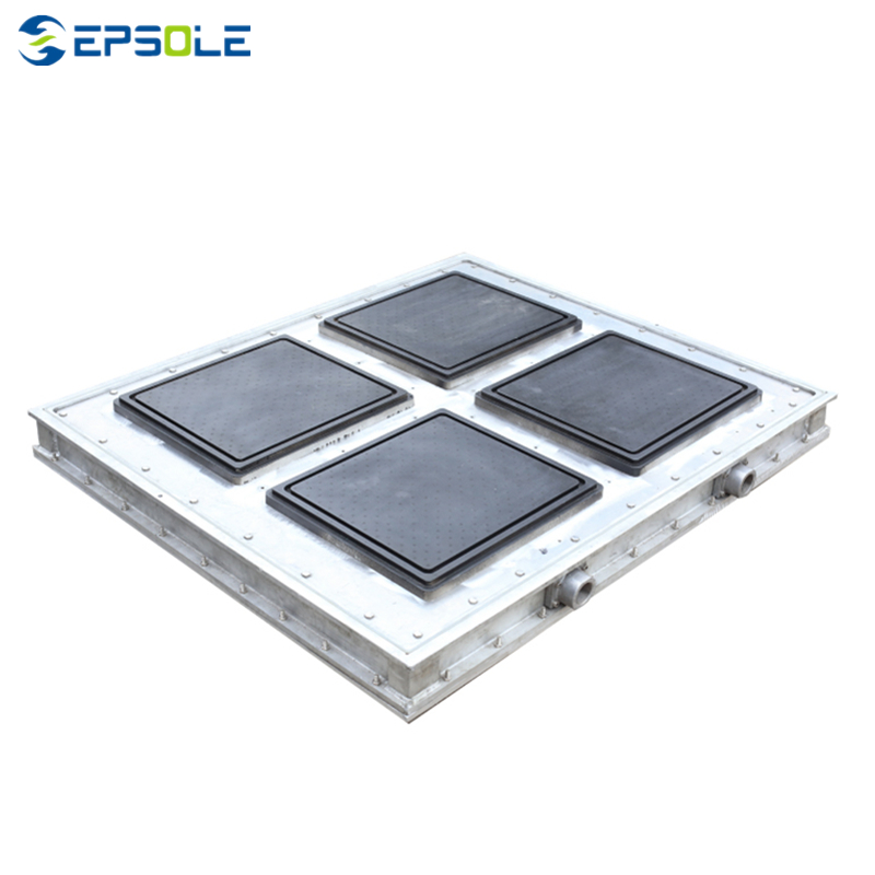 EPS Mold for ICF Grape Package Box